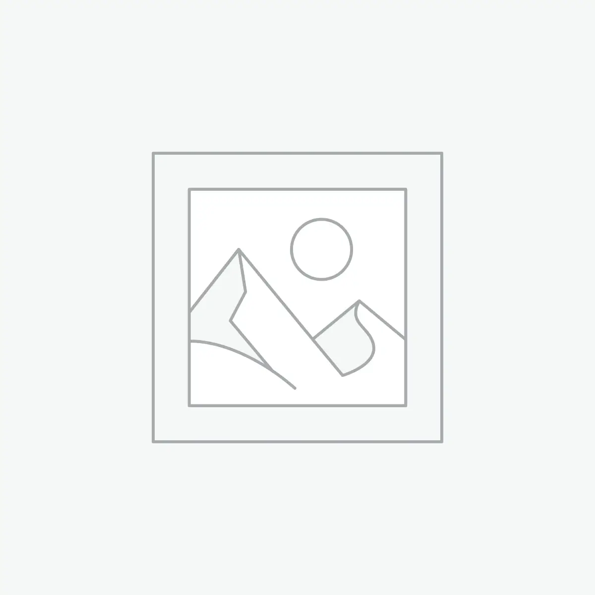 BUL AXE FS TOMAHAWK ported optic ready